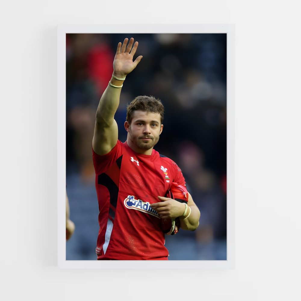 ap-scarlets-2 cadre Blanc