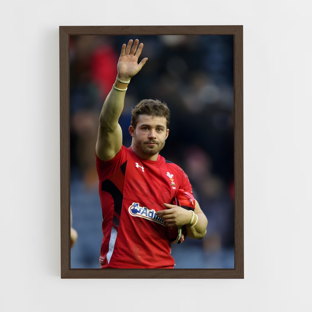 ap-scarlets-2 cadre Bois foncé