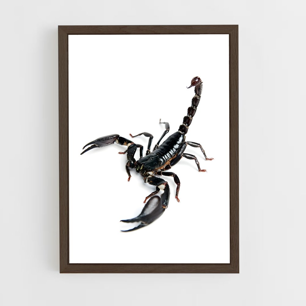 ap-scorpion-21 cadre Bois foncé