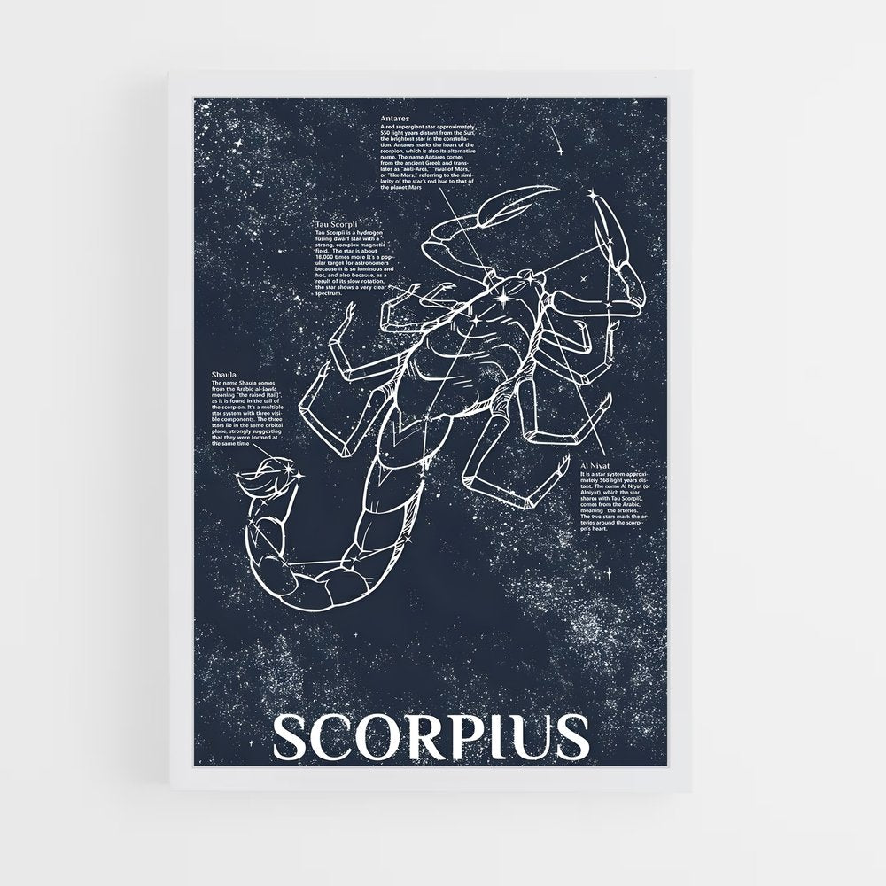 ap-scorpius-1 cadre Blanc