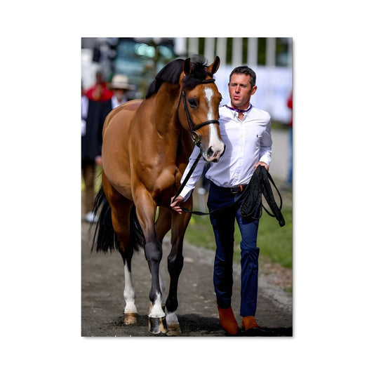 Poster Cheval et Horizon