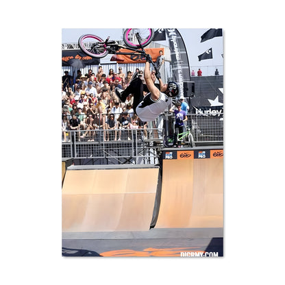Poster Tricks de Scotty