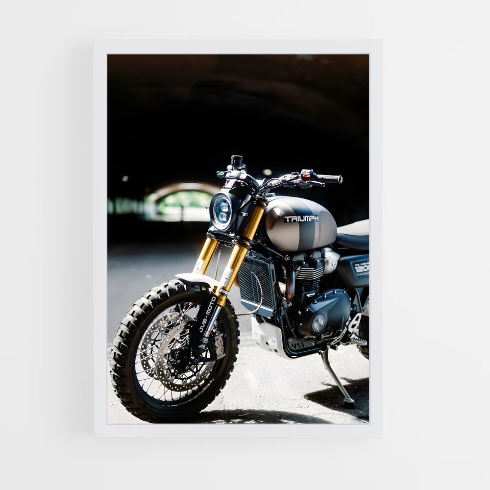 ap-scrambler 1200-1 cadre Blanc