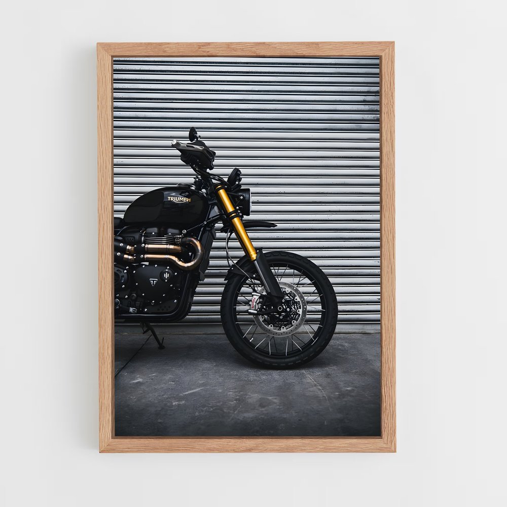 ap-scrambler 1200-4 cadre Bois clair