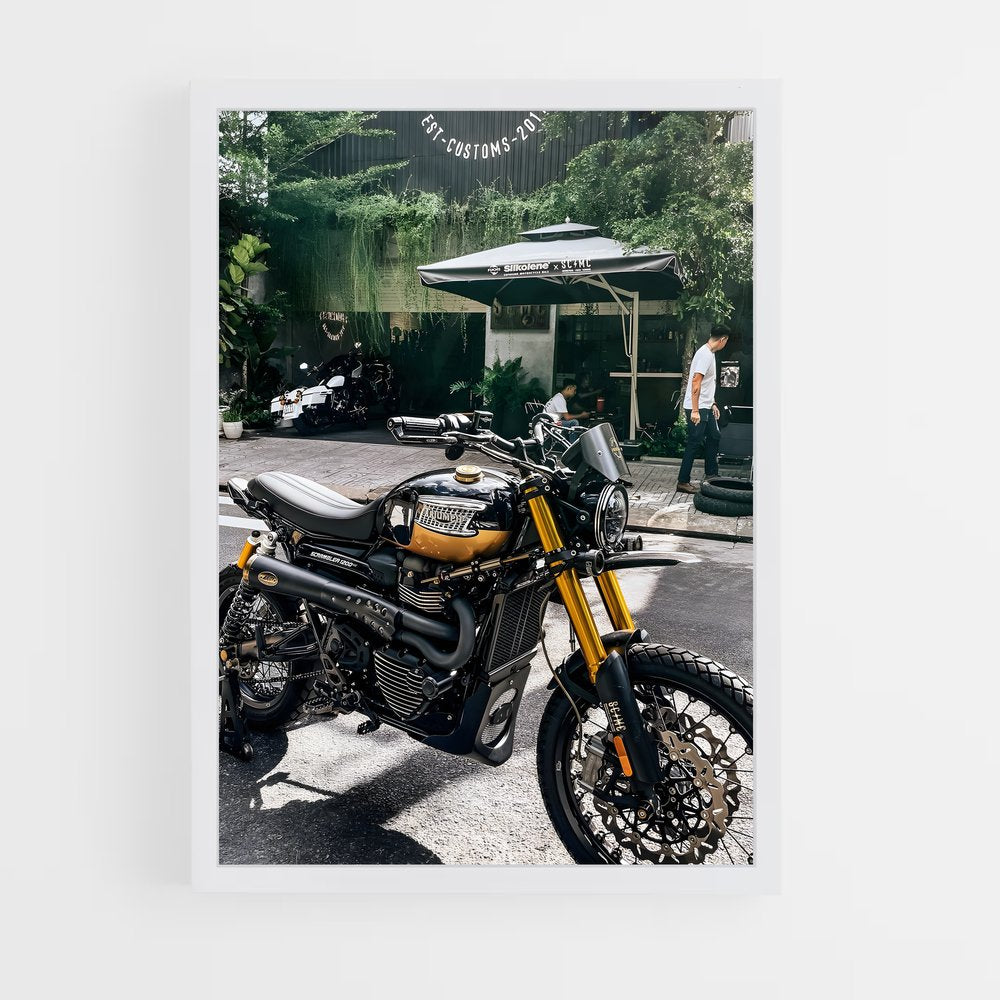 ap-scrambler 1200-7 cadre Blanc