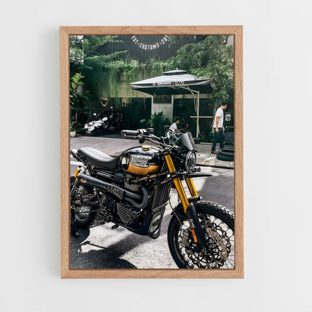 ap-scrambler 1200-7 cadre Bois clair