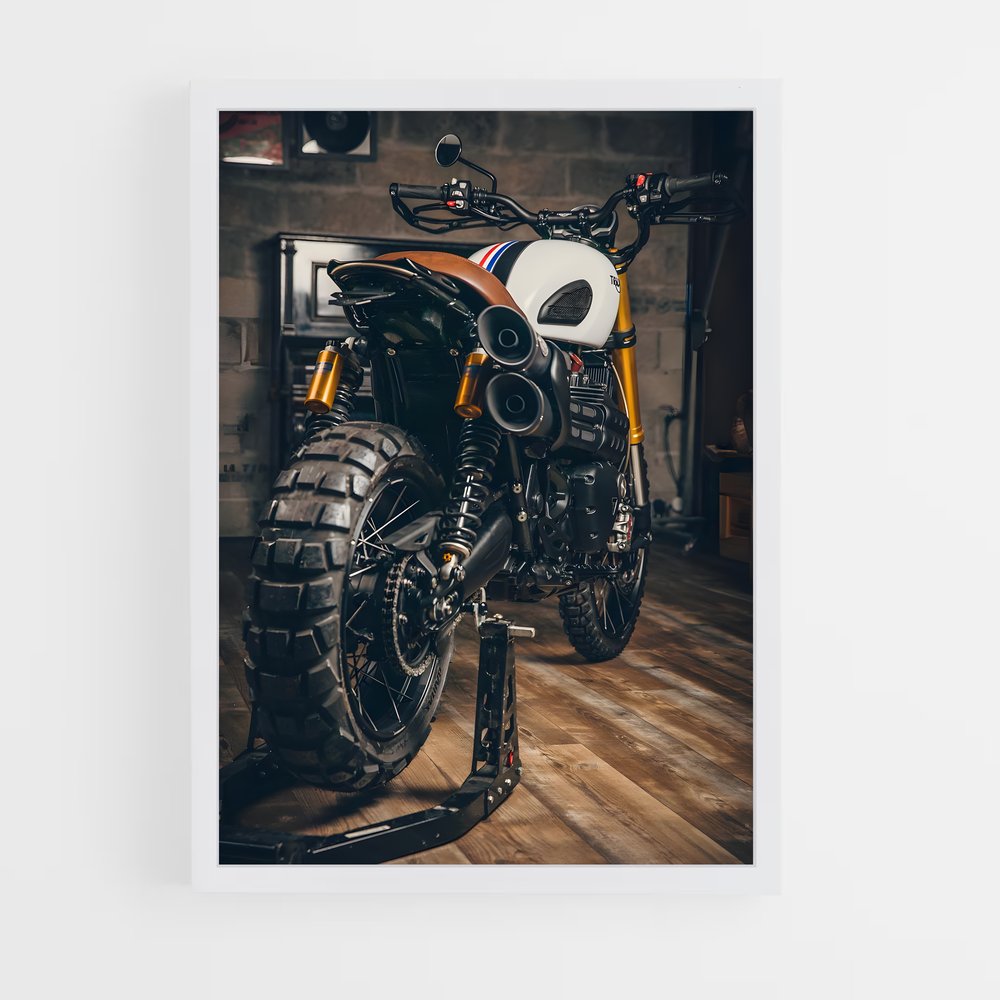 ap-scrambler 1200-8 cadre Blanc