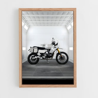 ap-scrambler 1200 xe-2 cadre Bois clair