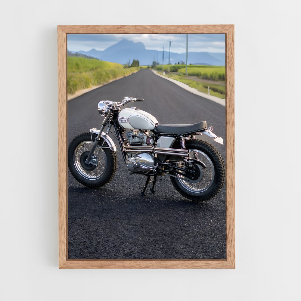 ap-scrambler desert sled-1 cadre Bois clair