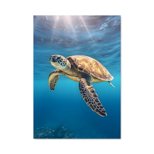 Poster Sea turtle 84310