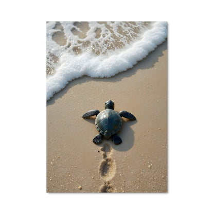 Poster Voyage de la Tortue