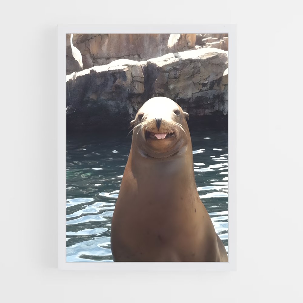 ap-sea lion-5 cadre Blanc