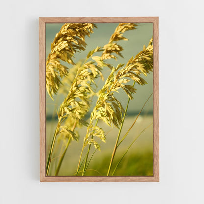 ap-sea oats-1 cadre Bois clair
