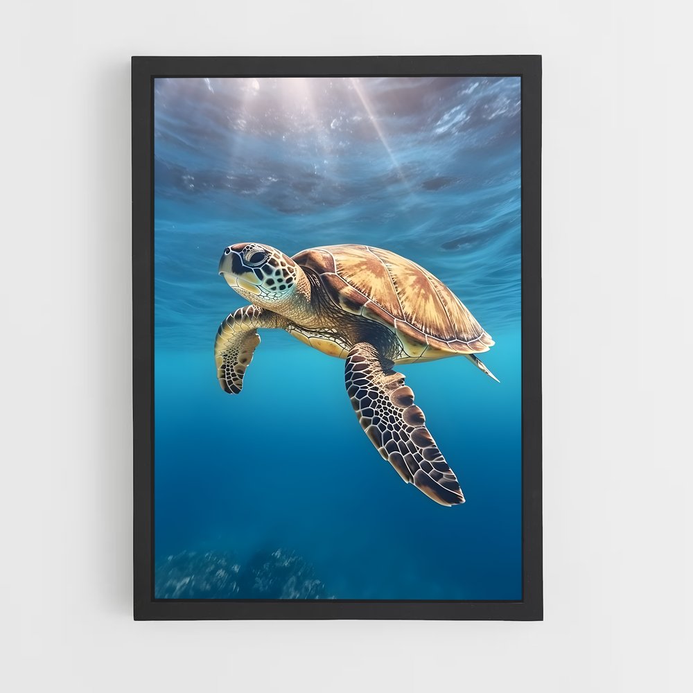 ap-sea turtle-1 cadre Noir