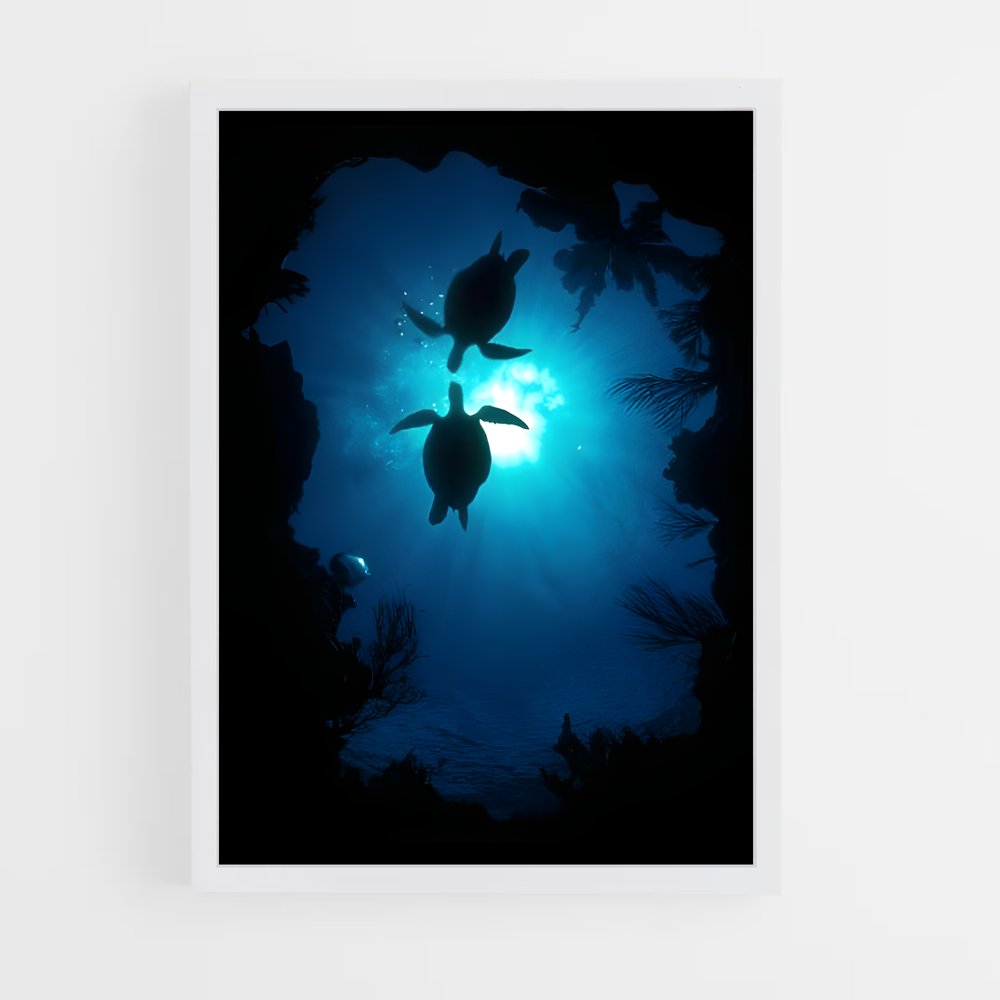 ap-sea turtle-10 cadre Blanc