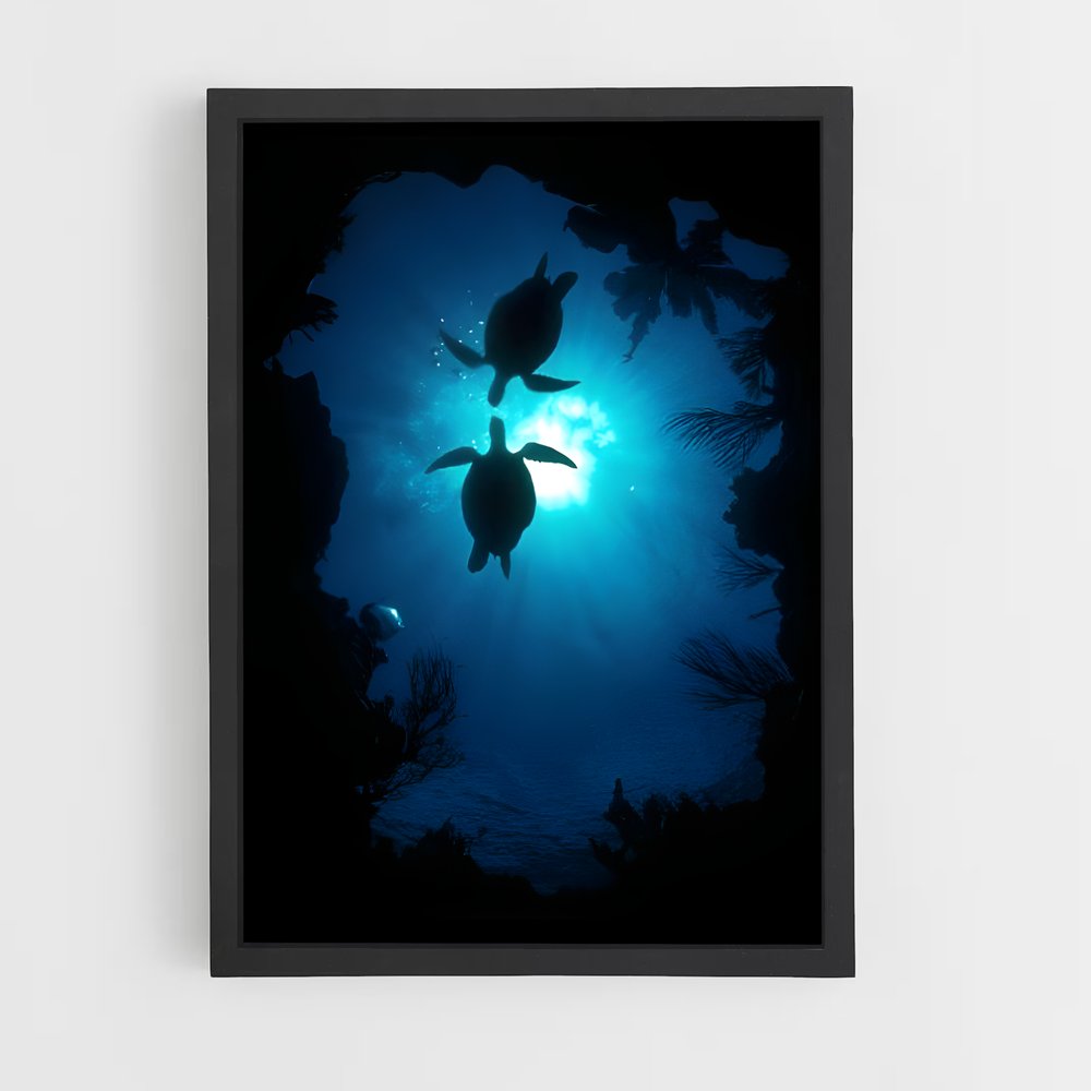 ap-sea turtle-10 cadre Noir