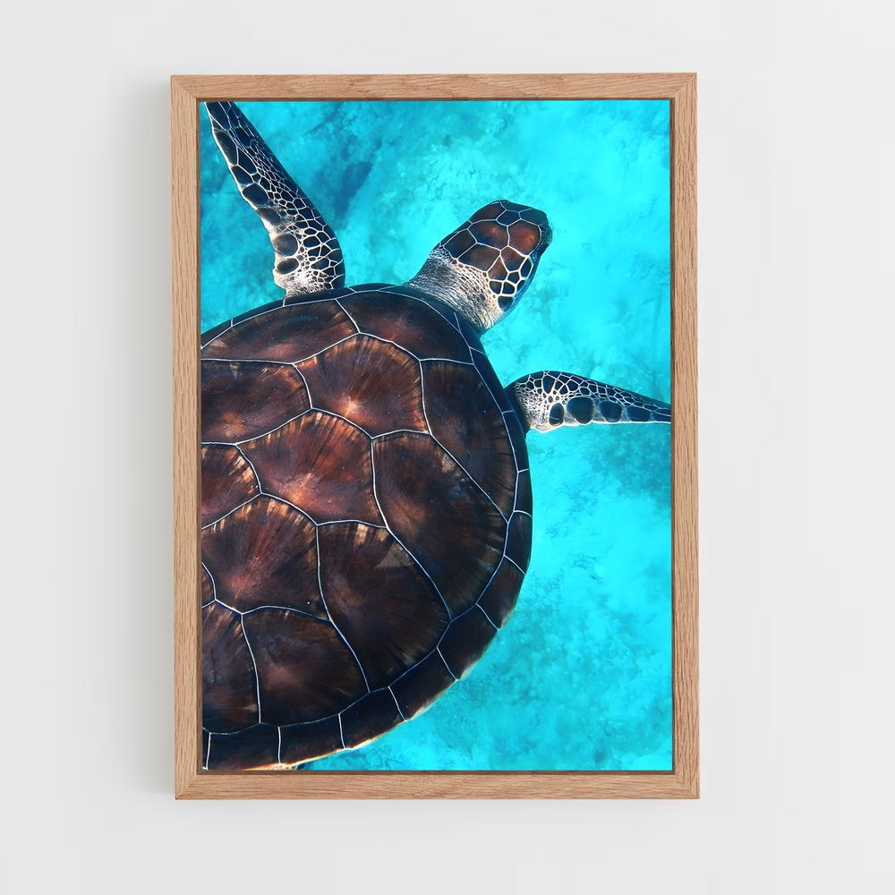 ap-sea turtle-12 cadre Bois clair
