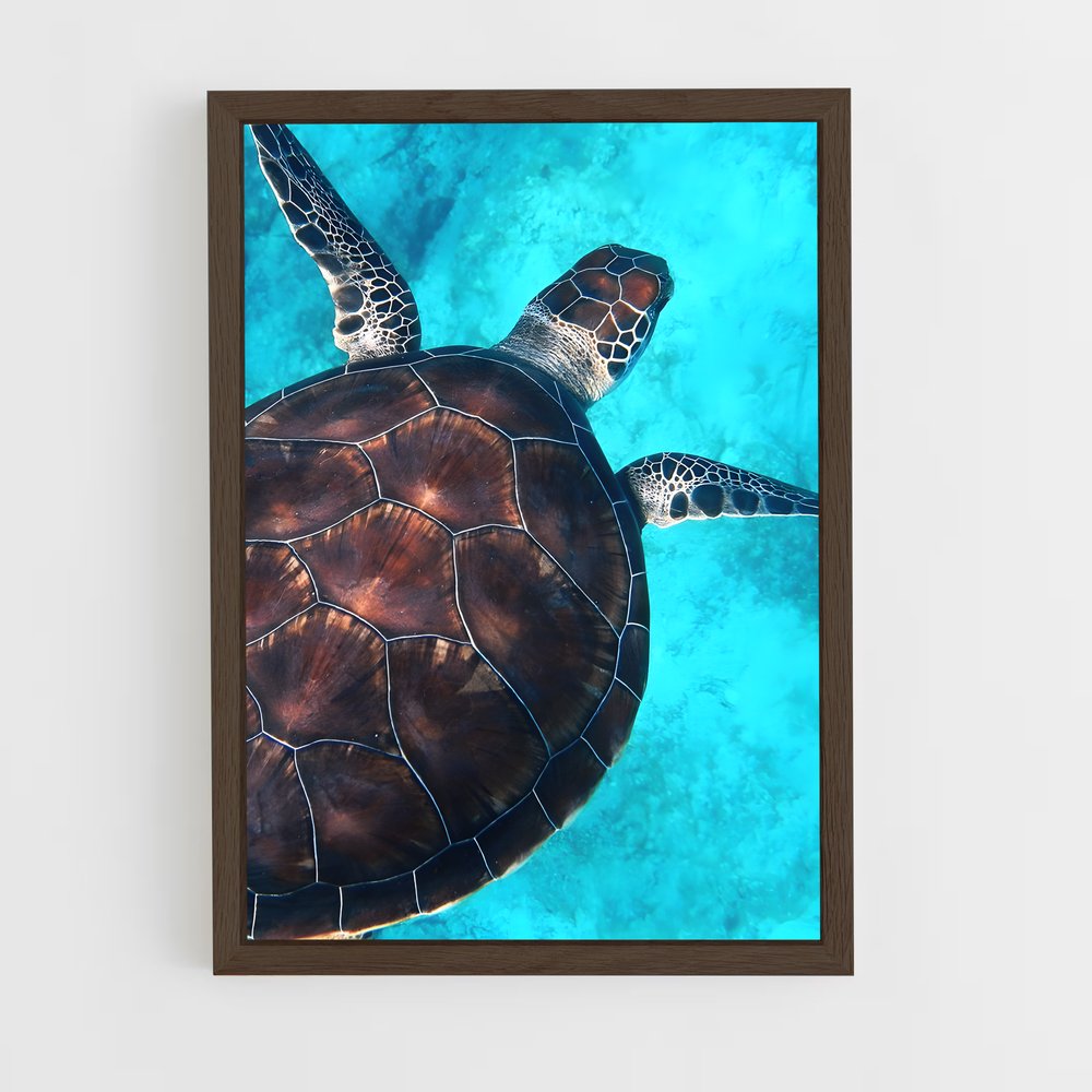 ap-sea turtle-12 cadre Bois foncé