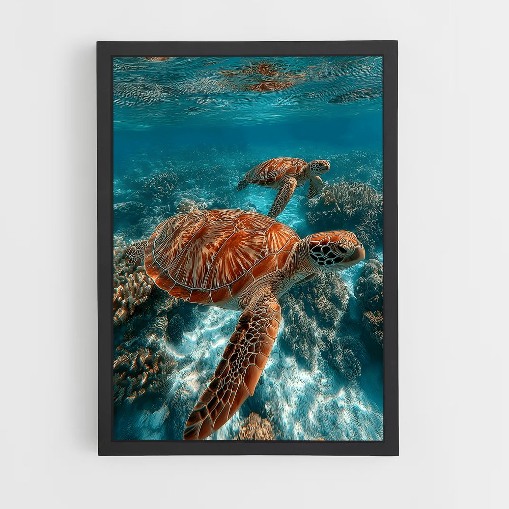 ap-sea turtle-13 cadre Noir