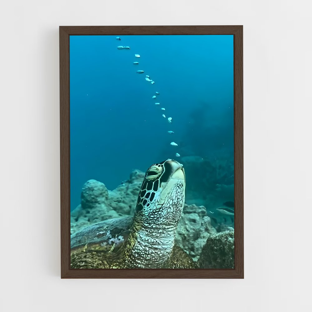 ap-sea turtle-14 cadre Bois foncé