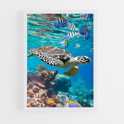ap-sea turtle-15 cadre Blanc