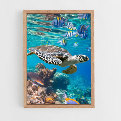 ap-sea turtle-15 cadre Bois clair