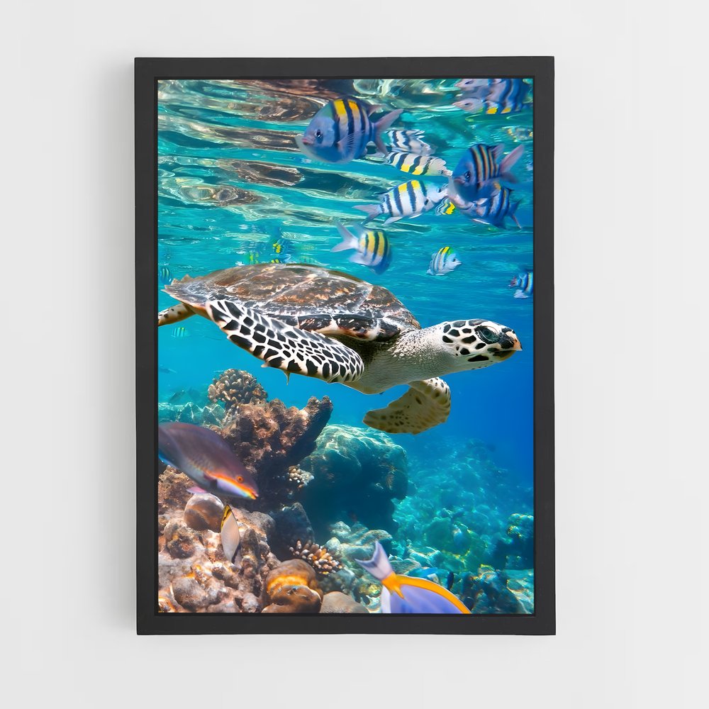 ap-sea turtle-15 cadre Noir