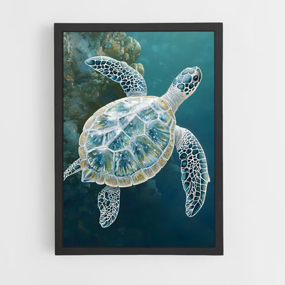 ap-sea turtle-16 cadre Noir