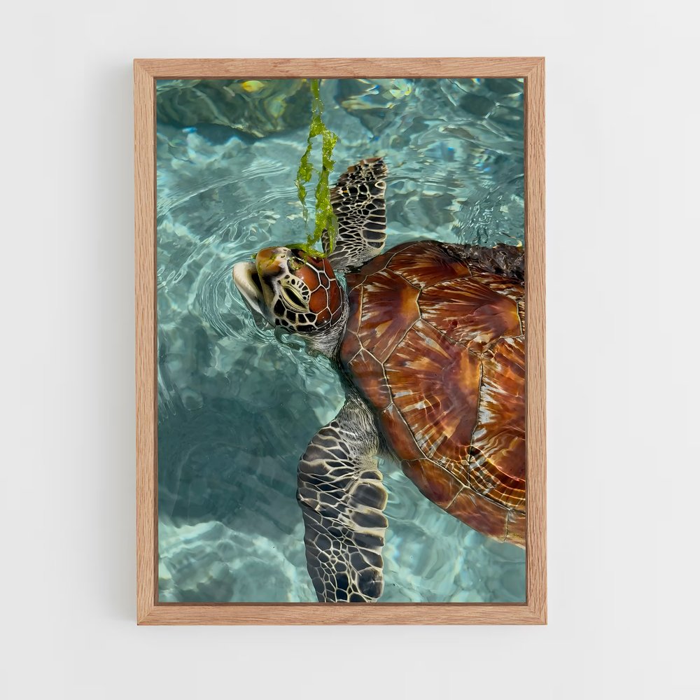 ap-sea turtle-2 cadre Bois clair