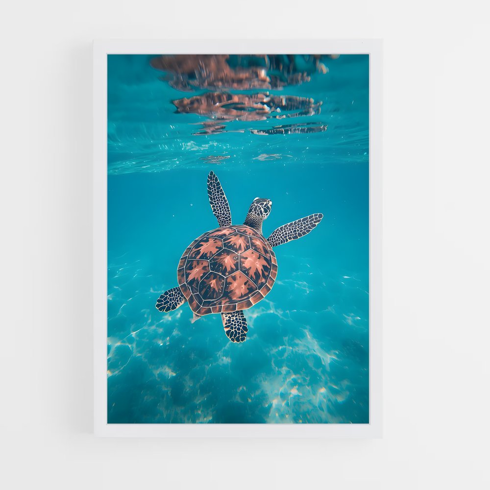 ap-sea turtle-3 cadre Blanc