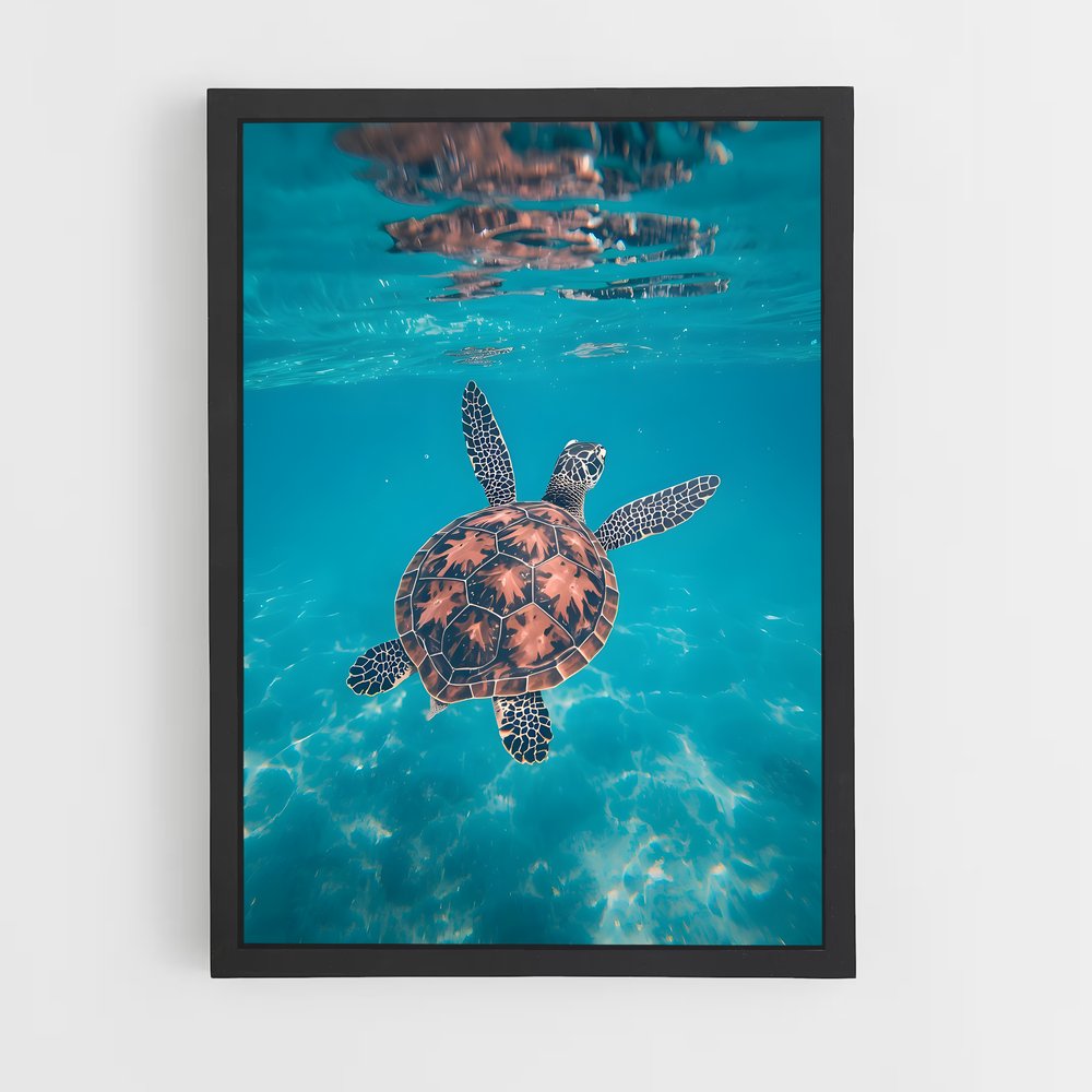 ap-sea turtle-3 cadre Noir