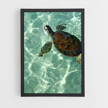 ap-sea turtle-4 cadre Noir