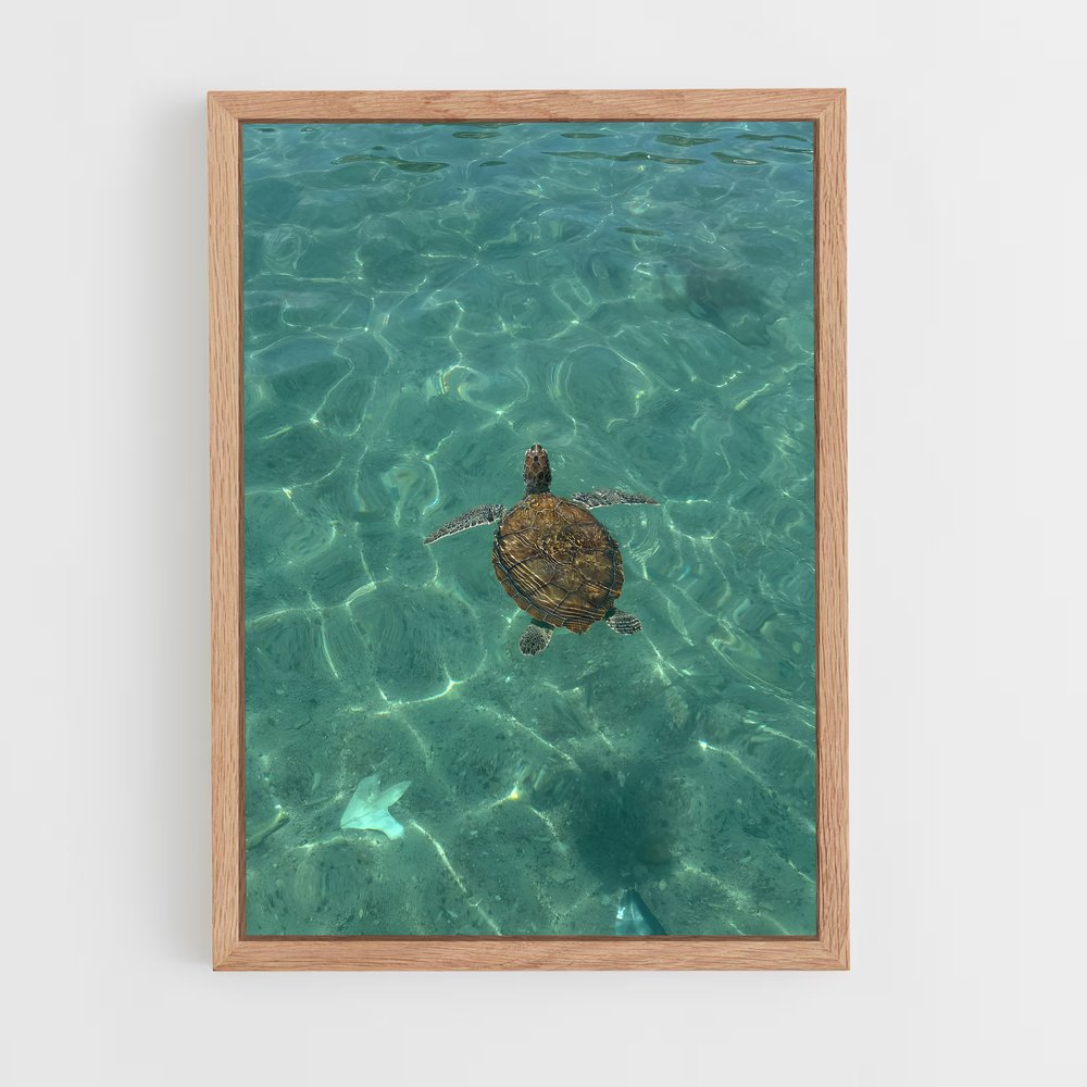 ap-sea turtle-6 cadre Bois clair