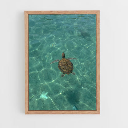 ap-sea turtle-6 cadre Bois clair