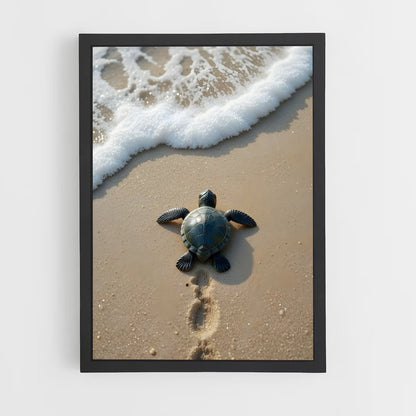 ap-sea turtle-7 cadre Noir