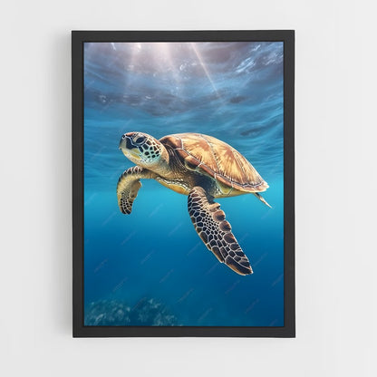 ap-sea turtle-8 cadre Noir