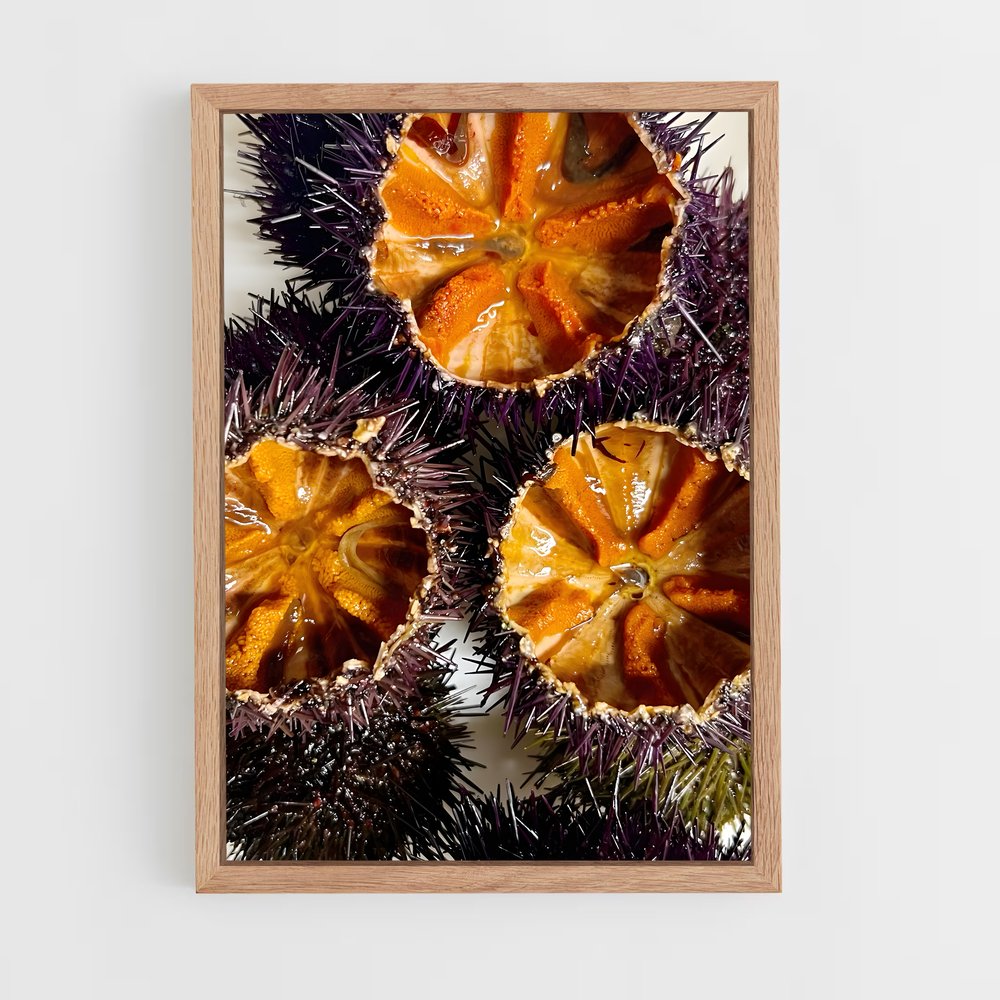 ap-sea urchin-1 cadre Bois clair