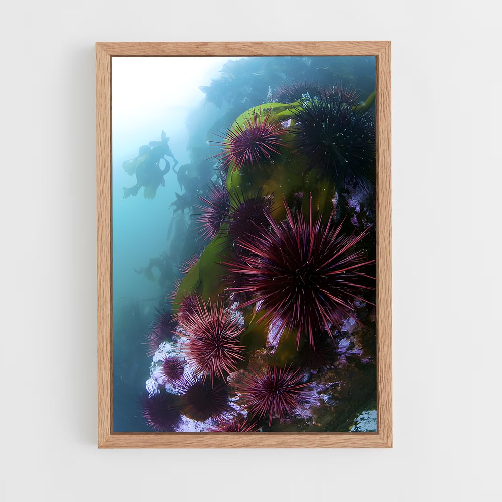 ap-sea urchin-2 cadre Bois clair