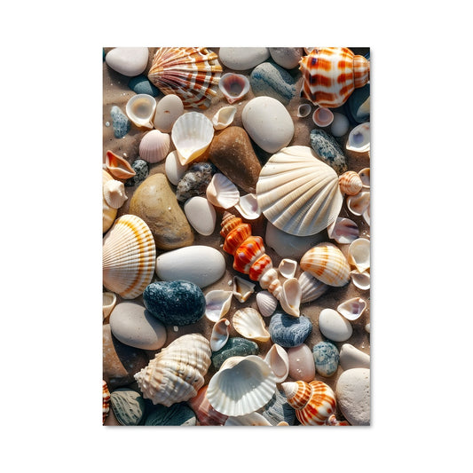 Poster Coquillages au Lieu Secret