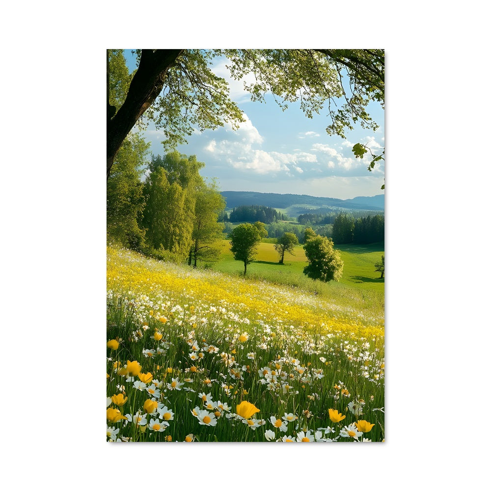 Poster Champ Éclatant