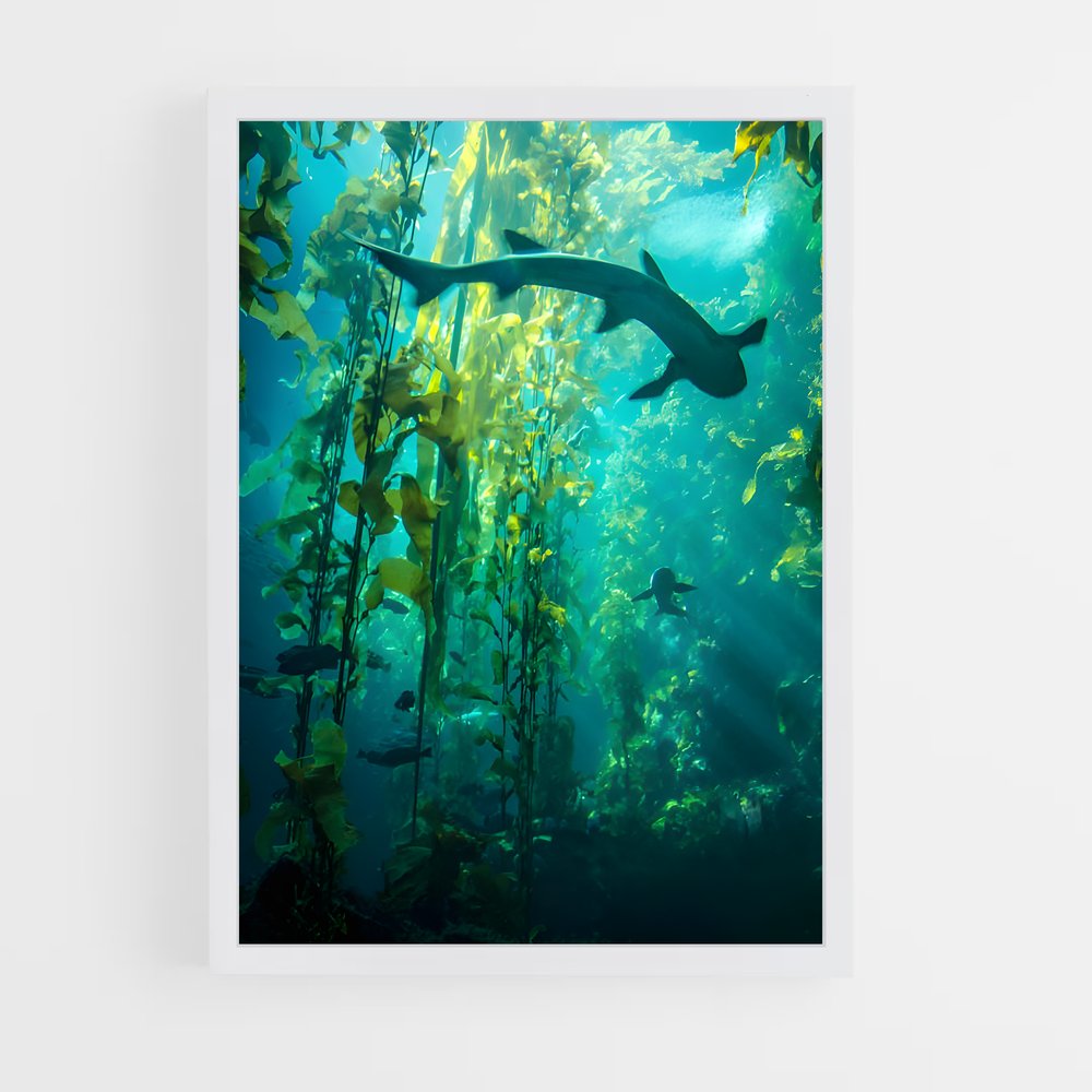 ap-seaweed-7 cadre Blanc