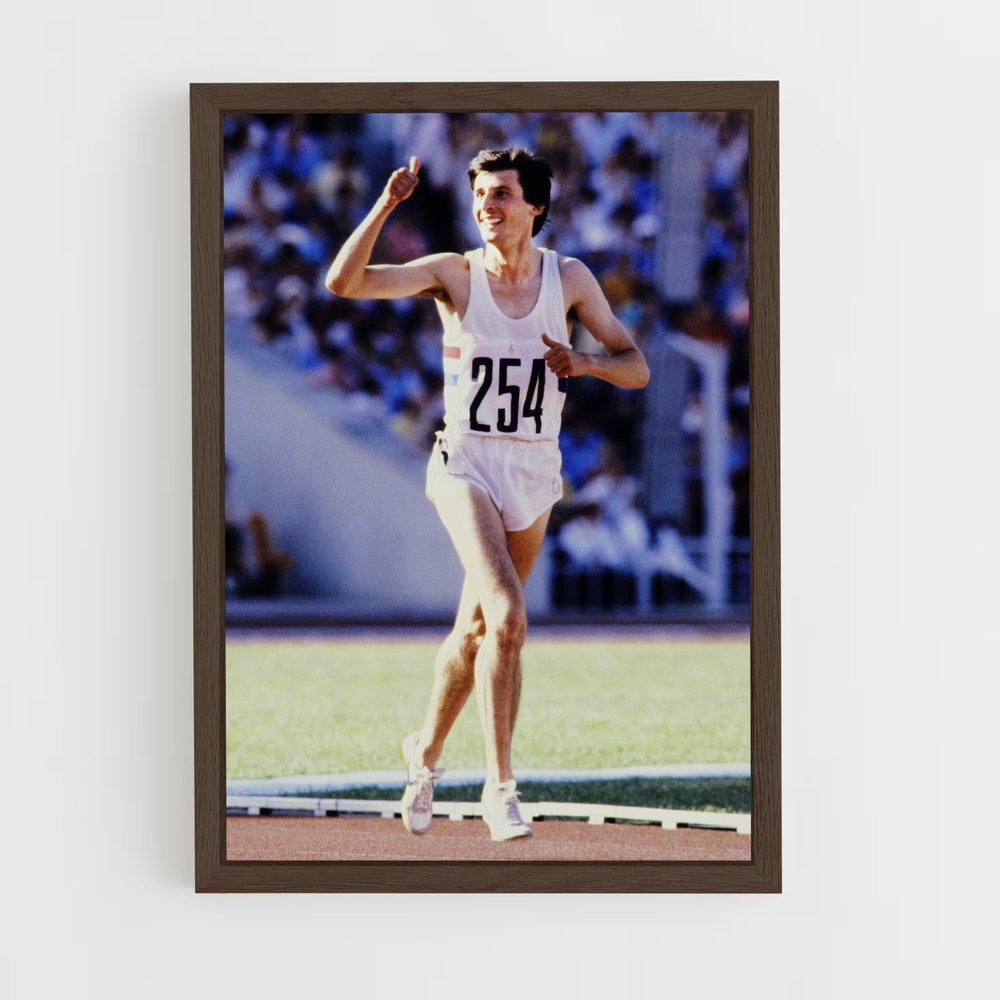 ap-seb coe-1 cadre Bois foncé