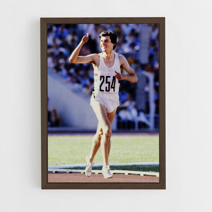 ap-seb coe-1 cadre Bois foncé