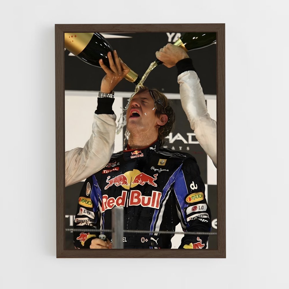 ap-sebastian vettel-2 cadre Bois foncé