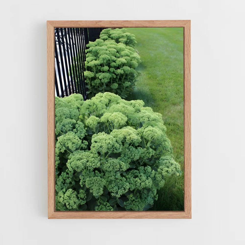 ap-sedum-1 cadre Bois clair