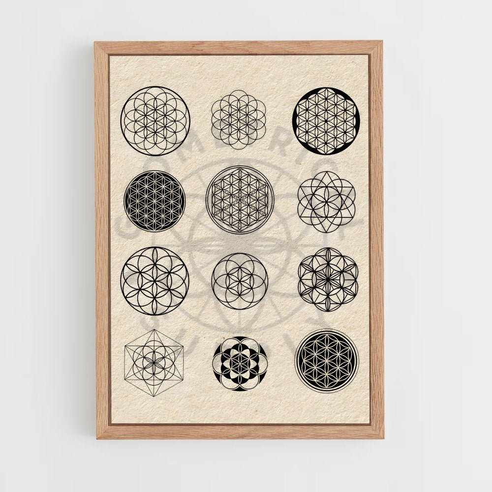 ap-seed of life-1 cadre Bois clair