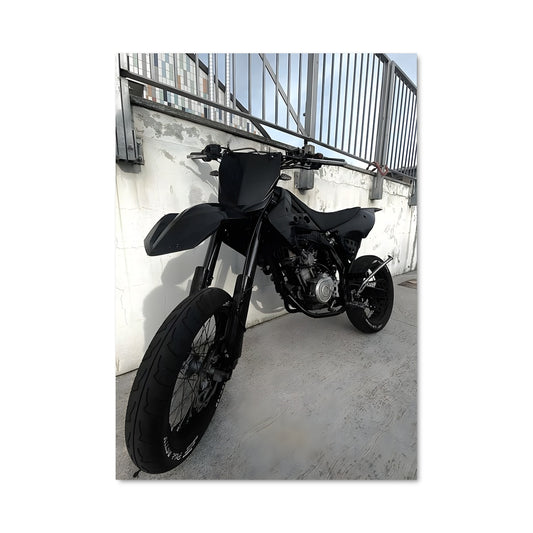 Poster Révolution Noire