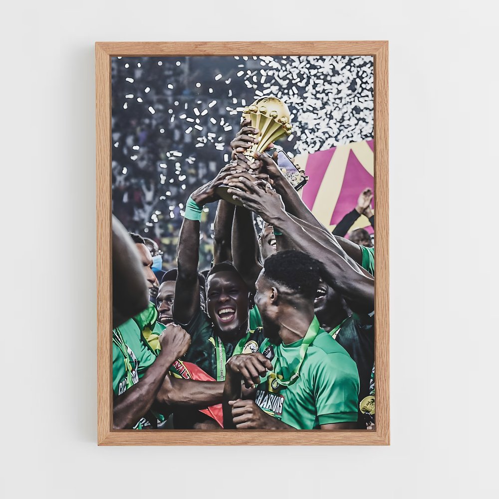 ap-senegal national football team-5 cadre Bois clair