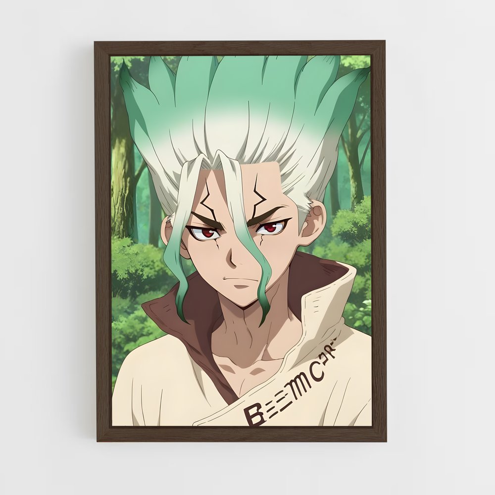 ap-senku ishigami-2 cadre Bois foncé