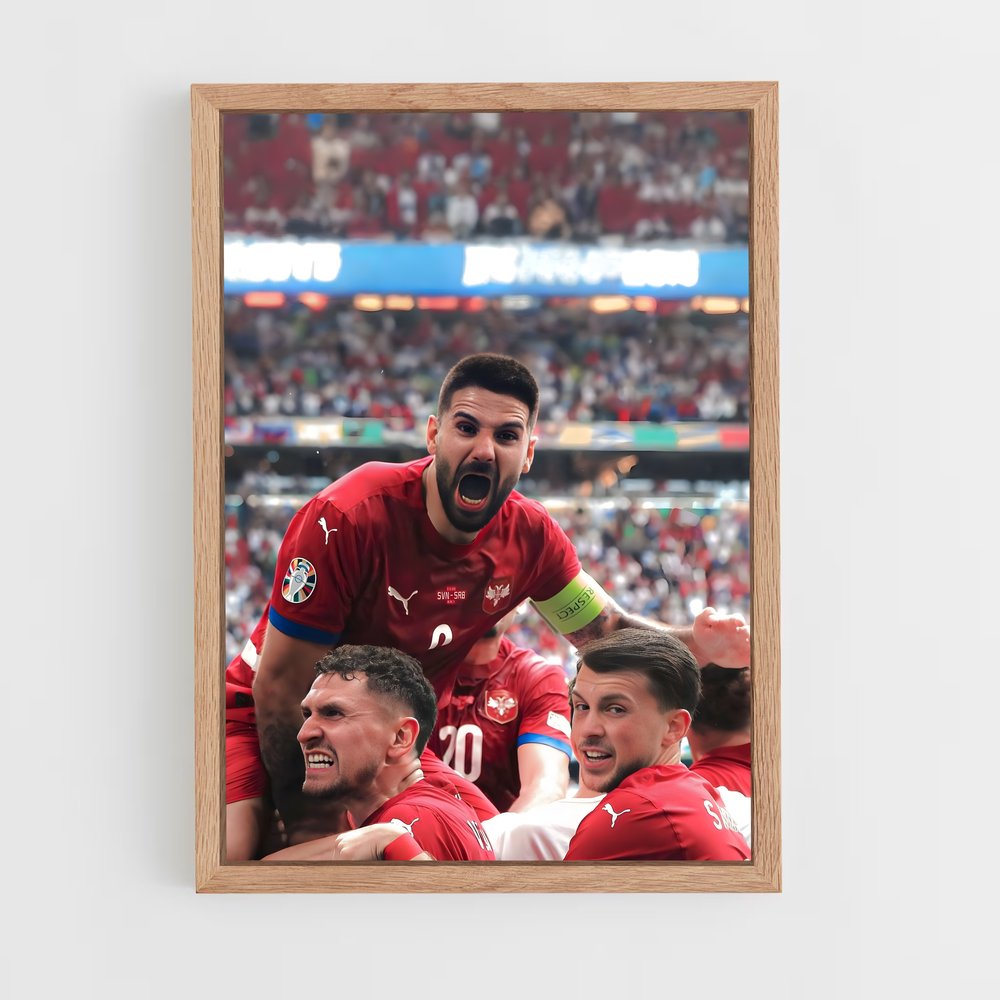 ap-serbia national football team-1 cadre Bois clair